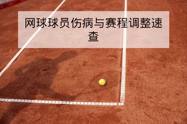 网球球员伤病与赛程调整速查