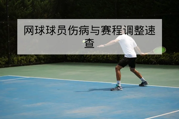 网球球员伤病与赛程调整速查